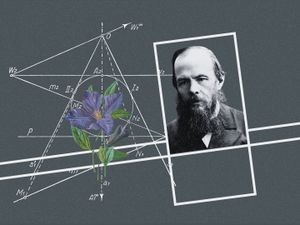 Тварь ли я дрожащая или Рефлектор?