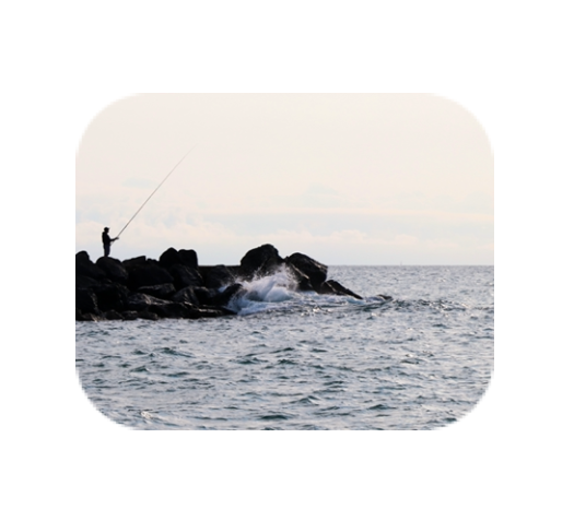 Sea § You
