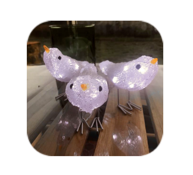 3 little Birds