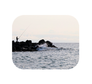 Sea § You