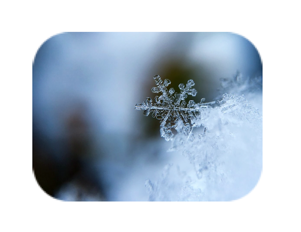Dark Winter