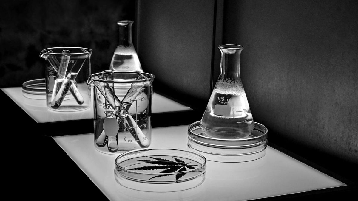 Harvard Business Review - Building a Culture of Experimentation