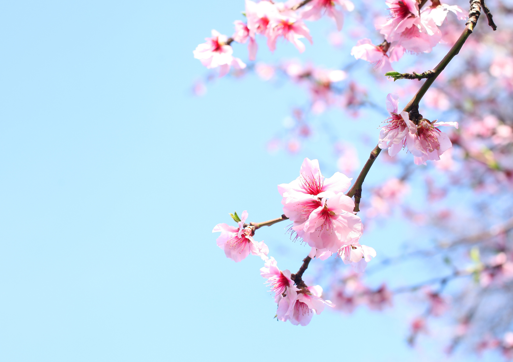 Agenda de l’évêque - Avril 2025