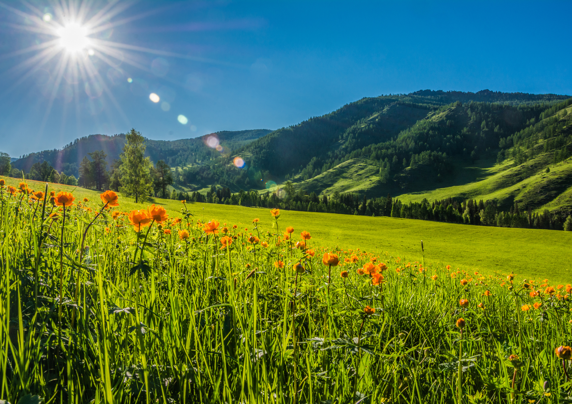 Agenda de l'Evêque - JUIN 2025