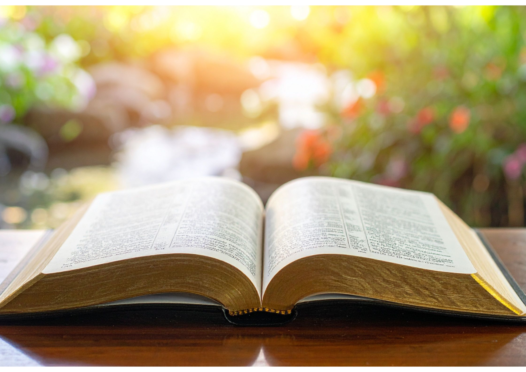 Vendredi 3 octobre - Rentrée inaugurale du Centre Ramon Llull