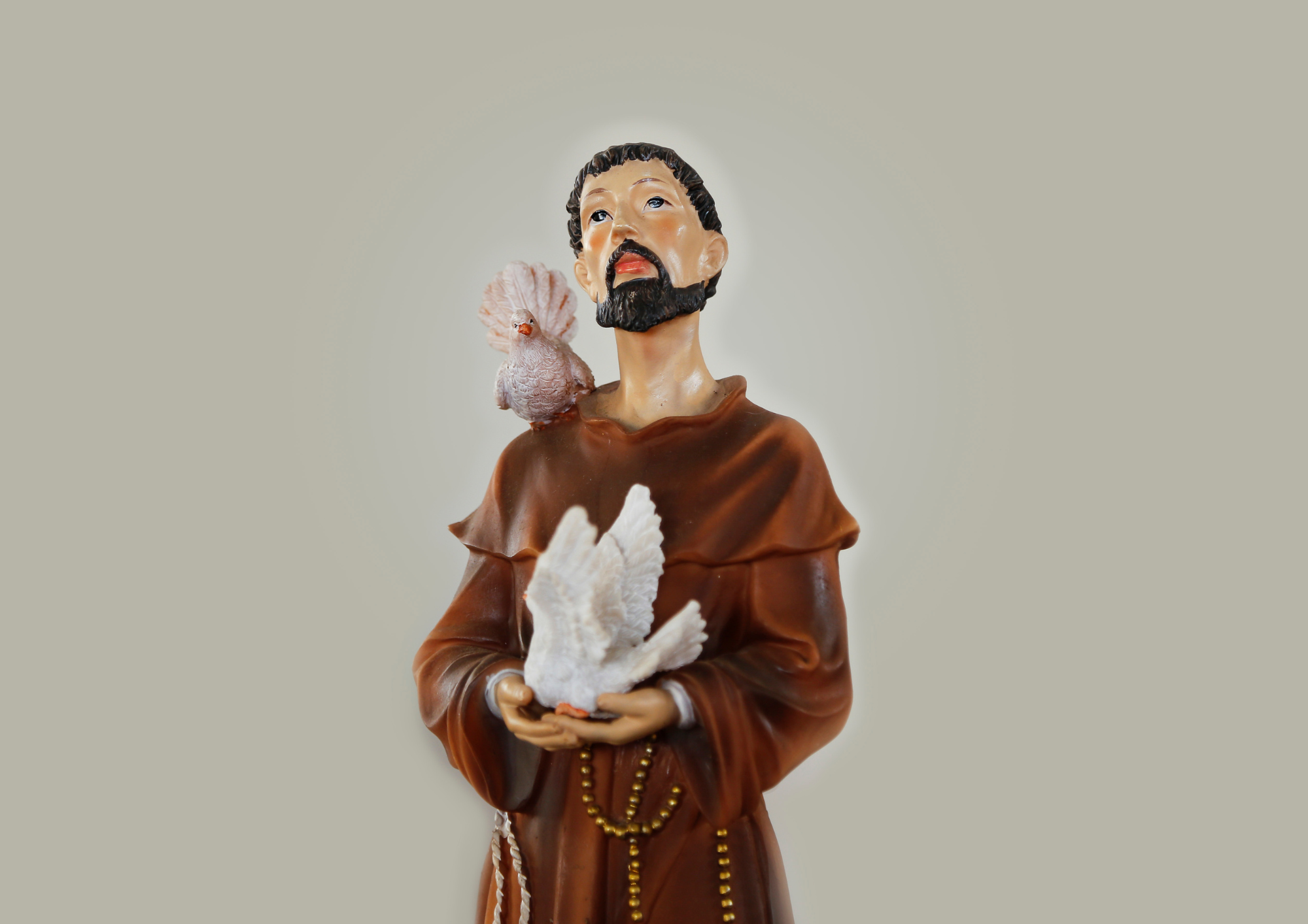 Saint François d’Assise : trois temps forts pour célébrer le jubilé des 800 ans