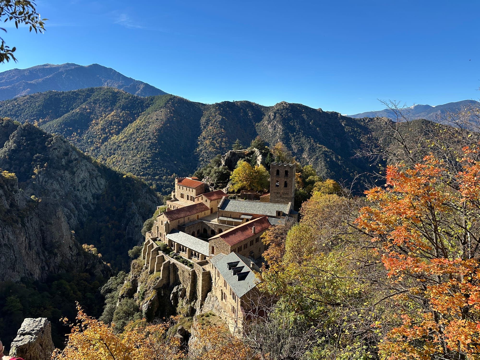 APLEC Dimanche 8 Novembre 2026 : l'abbaye saint-Martin-du-Canigou fêtera son saint patron.