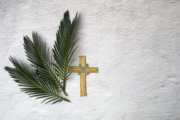 Les messes des Rameaux 2024