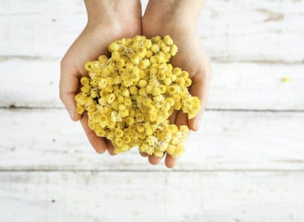 Agenda de l'Evêque - Juin 2024