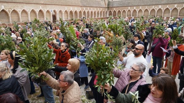 Retour sur le dimanche des Rameaux