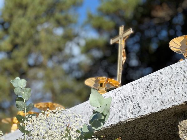 HORAIRES DES MESSES DE LA TOUSSAINT 2025