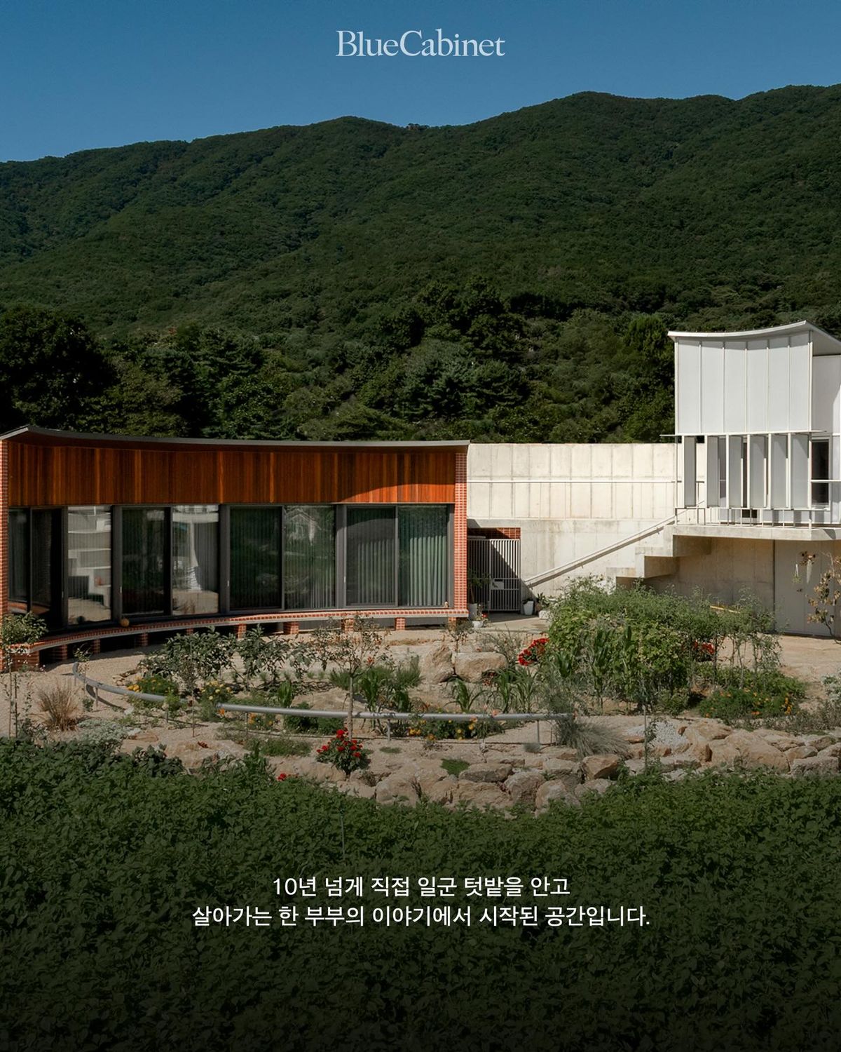 〈포전집(抱田집)〉, 텃밭을 안은 집 Post feature image