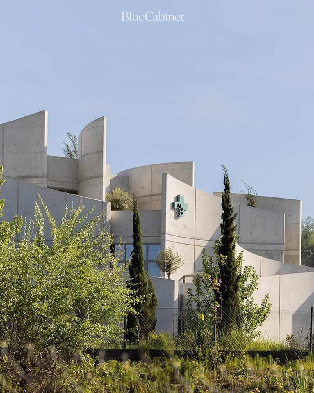 알바니아 〈Vet Hospital Tirana〉, 곡선이 흐르는 동물병원 Post image