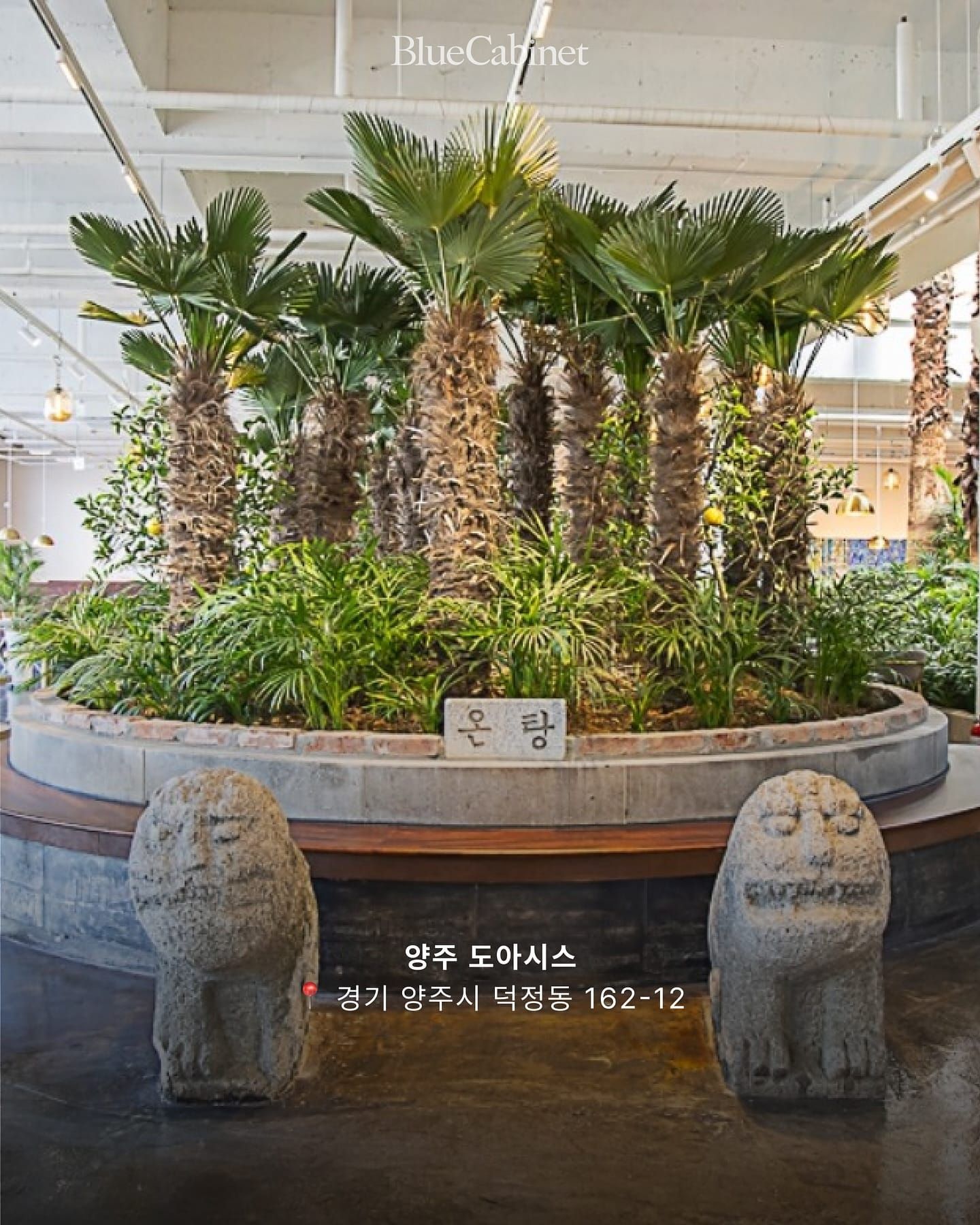 목욕탕을 개조한 카페 6 Post image