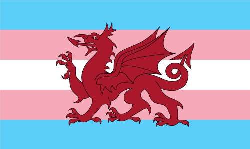 NHS Wales pauses gender affirming surgery referrals pending independent review