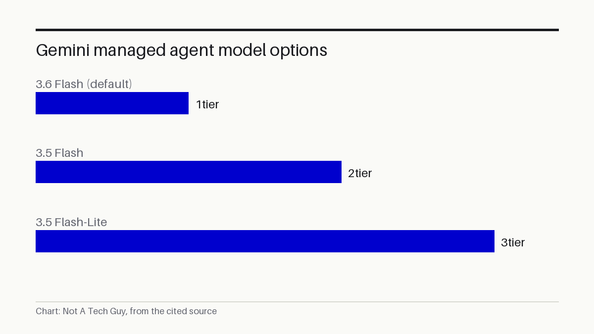 Gemini managed agent model options