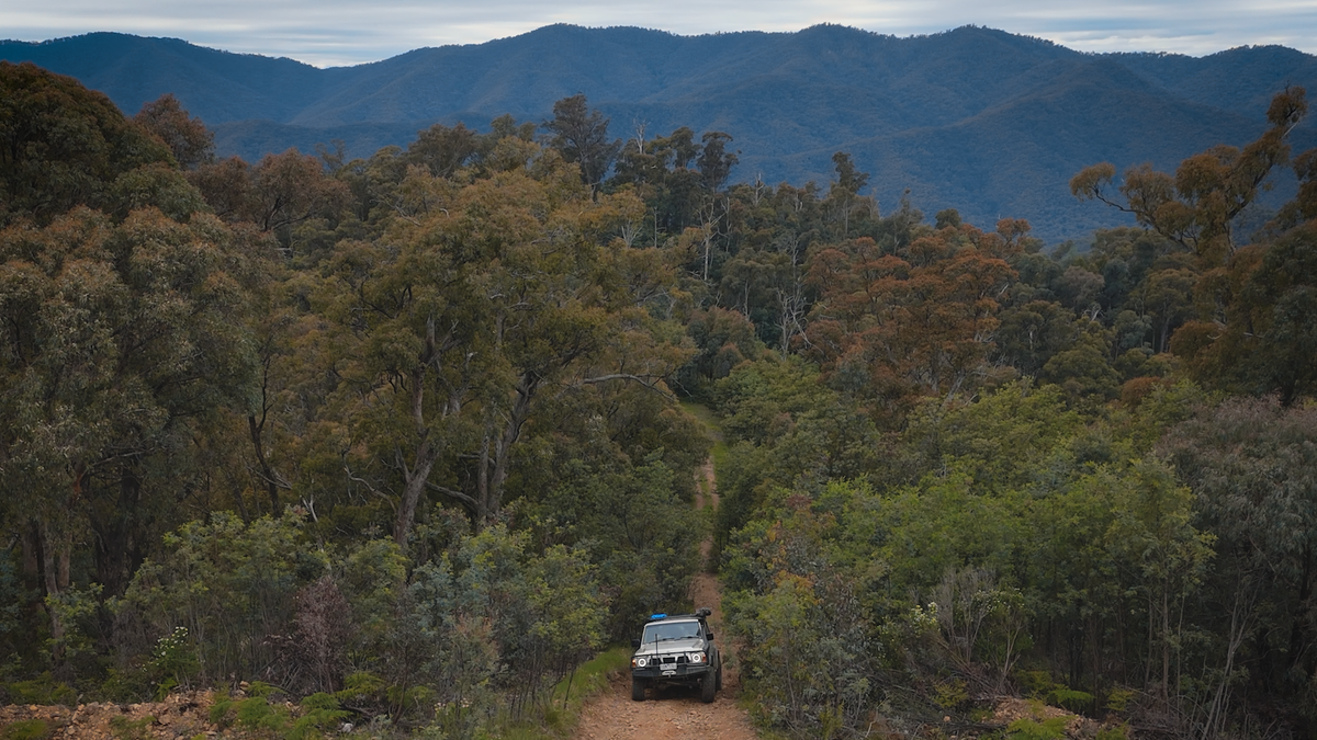 Eildon NP & Mt Terrible Track Notes