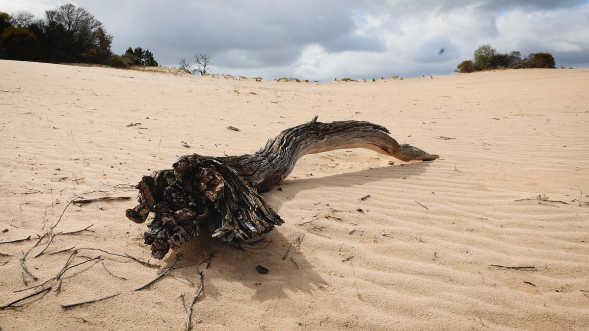Flinders Ranges Trip Part 1: Chasing Pink Cockatoos in Wyperfeld NP, Victoria