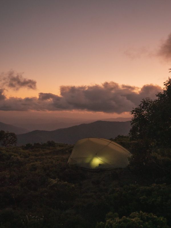 Hiking the Bluff solo, Howqua Hills Area VHC