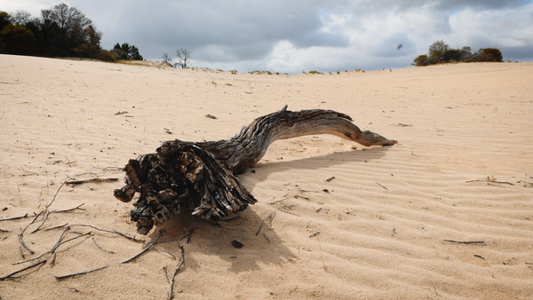 Flinders Ranges Trip Part 1: Chasing Pink Cockatoos in Wyperfeld NP, Victoria