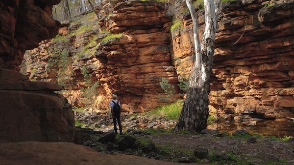 Flinders Ranges Trip Pt. 2: Lake Bonney, Port Germein, Bridle Track, Melrose, Alligator Gorge