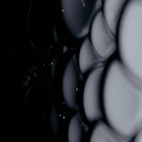 acquisition cellulaire