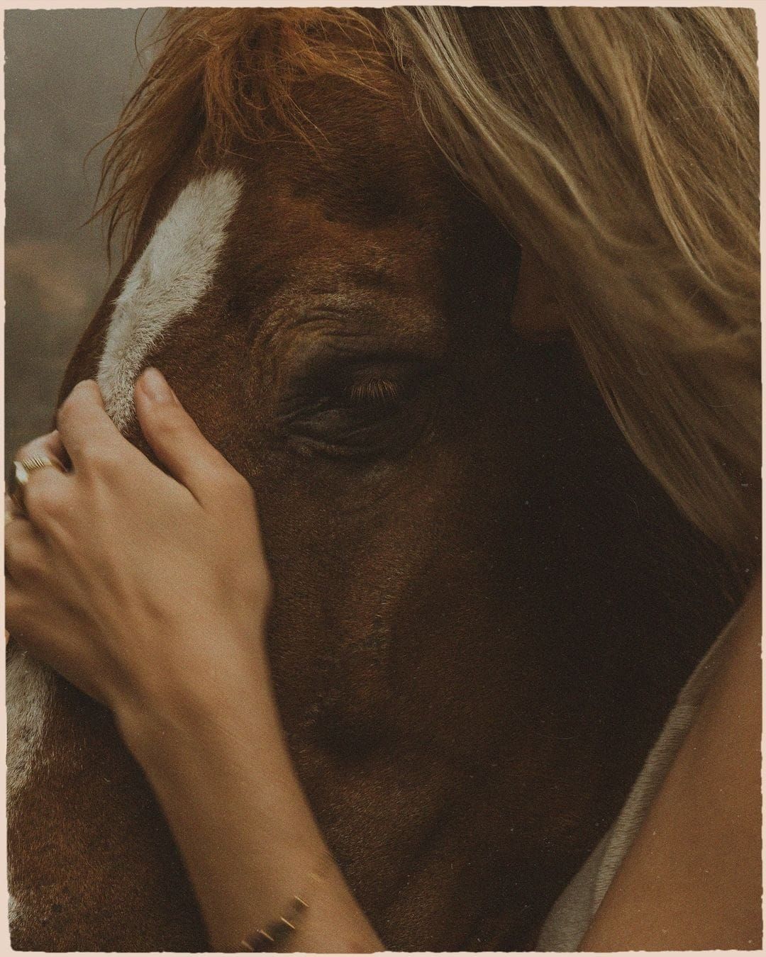 Le CRO doit respecter l'utilisateur