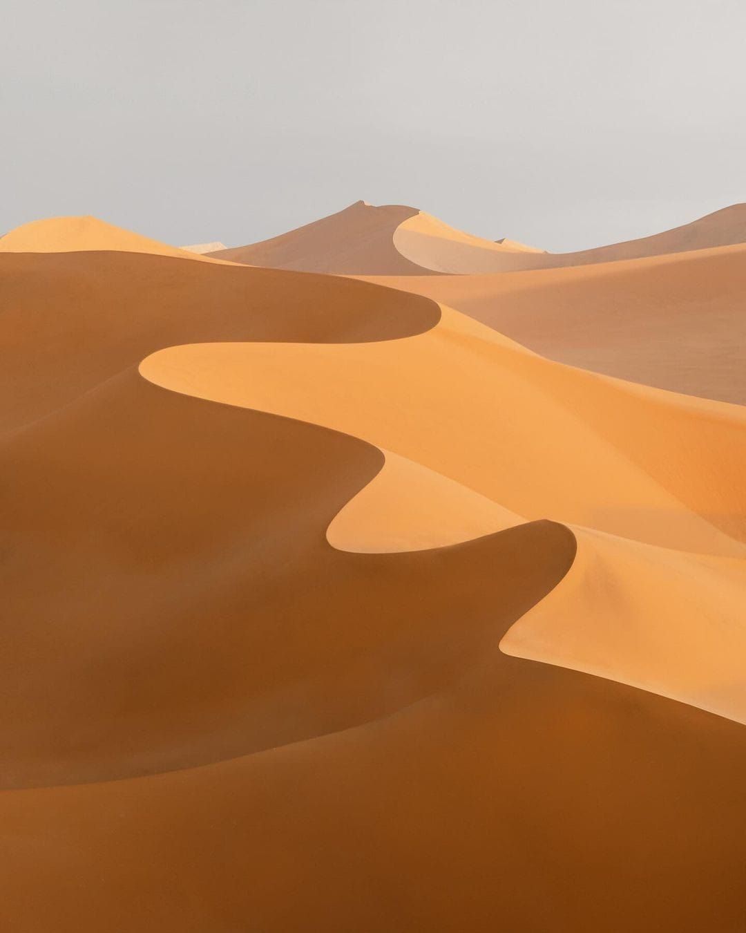 FOMO et stratégies de drops : quatre écoles de la rareté