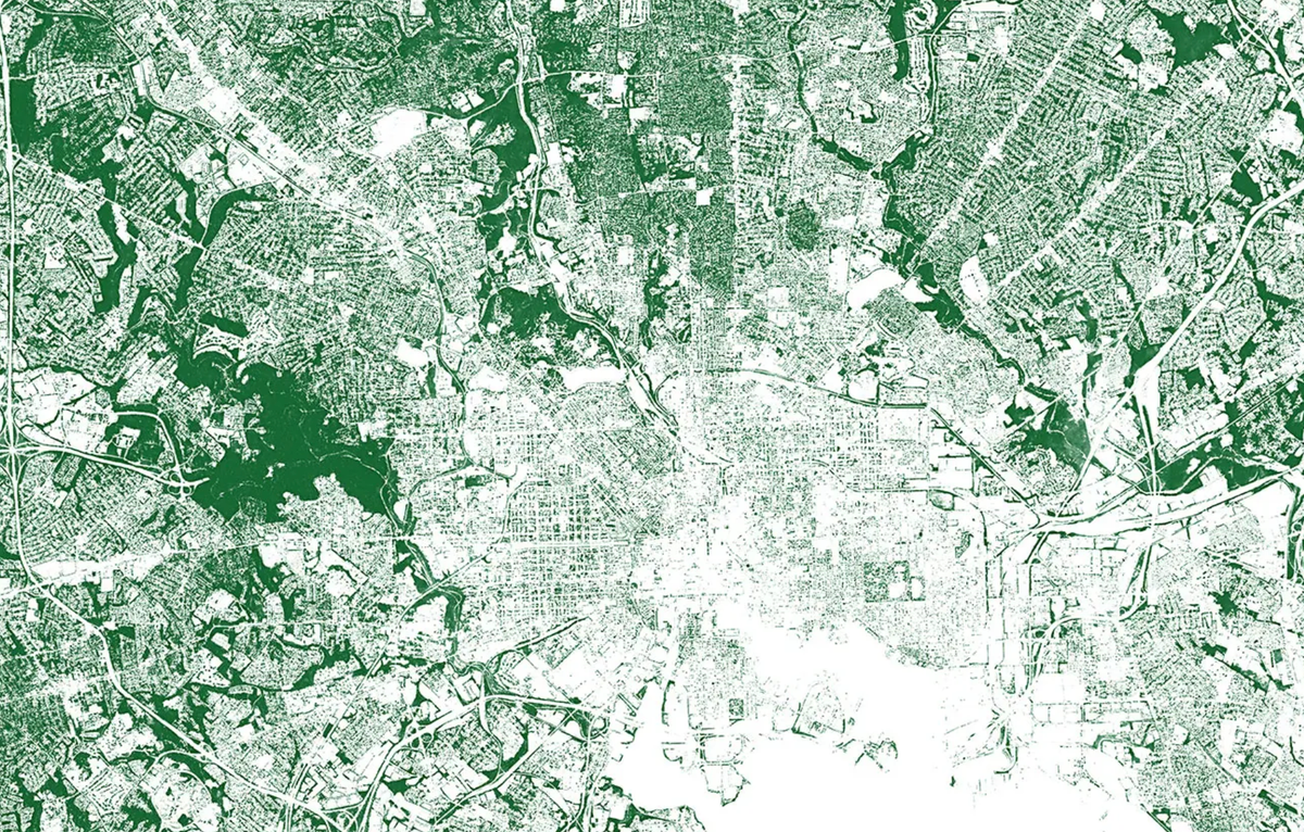 Data + Design: IDEO, Edyn, and Tree Canopy