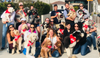 Council Sends Dog Park Back for Study of Valley Park and Greenbelt, With Ballot Measure on the Table
