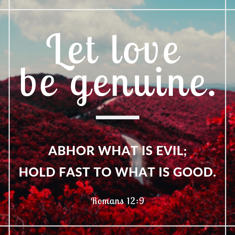 Let love be genuine - Cornerstone Impact Update