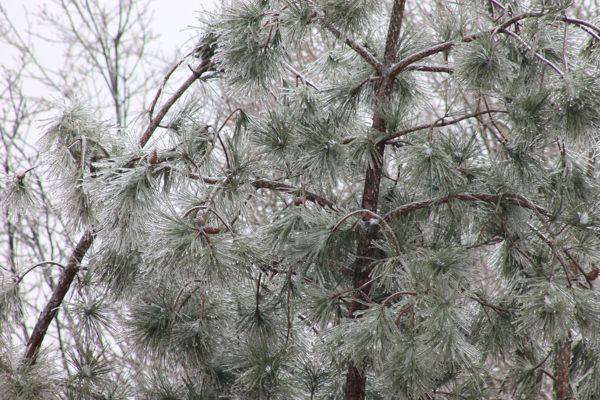 Hidden Risks - MMM v2-7