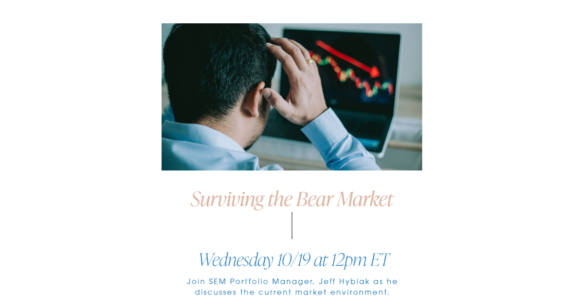 Surviving the Bear Market Webinar