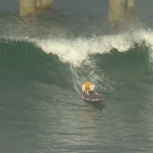 The Single Best Indicator - MMM v5-9