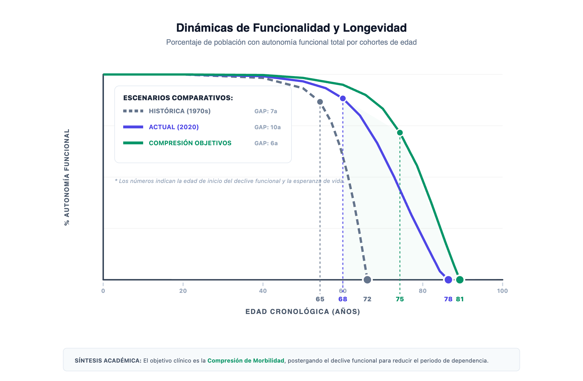 Dinámicas de Funcionalidad y Longevidad.png