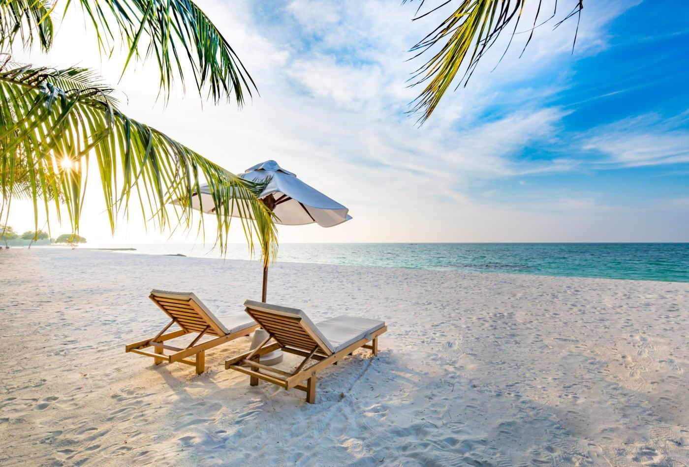 Black Friday Travel Deals During Pandemic: How AI Price Tracking Finds Best Discounts
