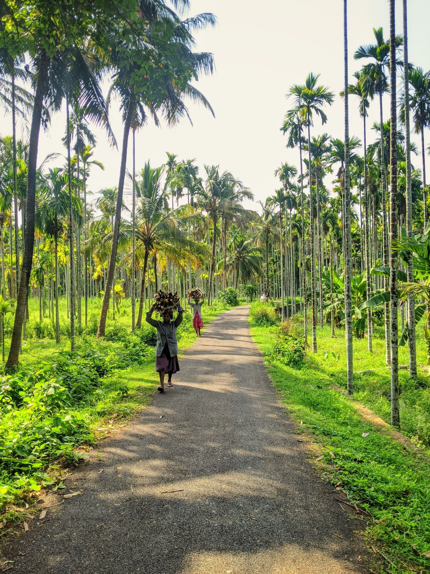 How AI is Revolutionizing Kerala's Tourism and Smart City Infrastructure