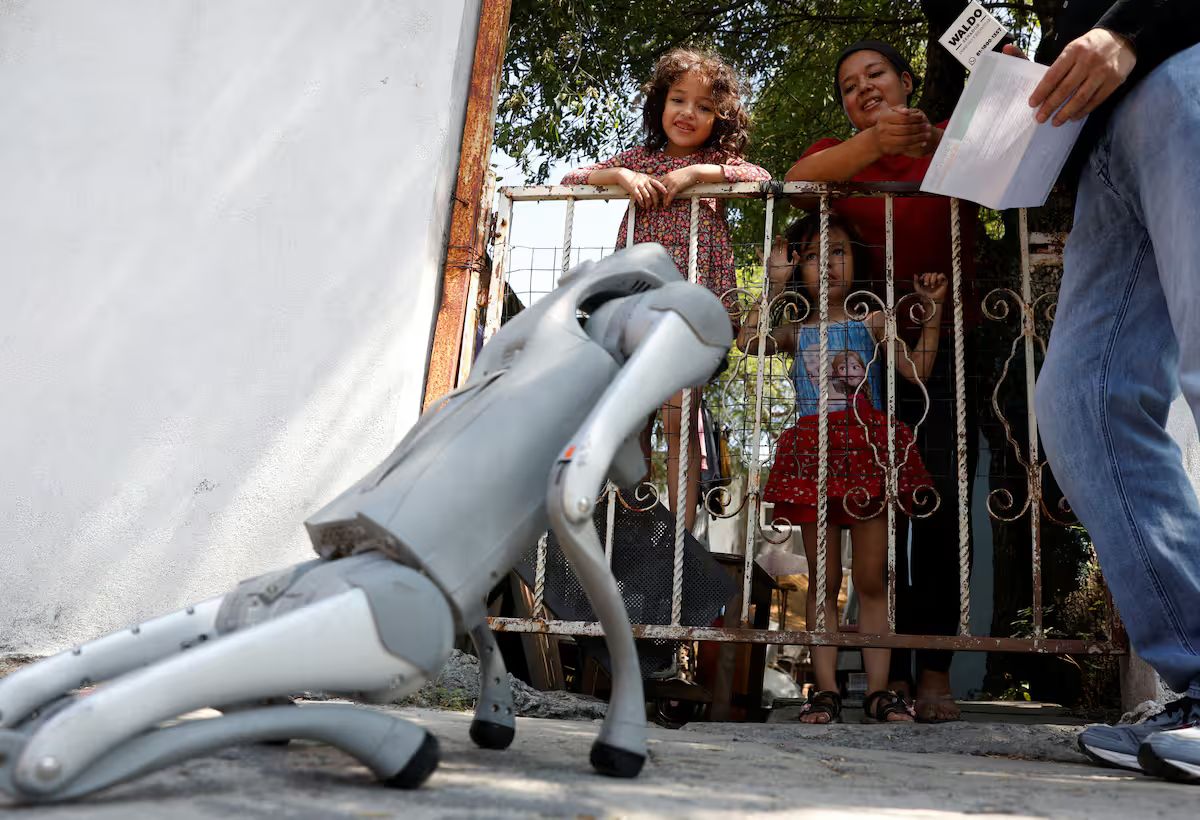 Mexico’s Robot Dog “Waldog” Is Winning Hearts and Protecting Animals