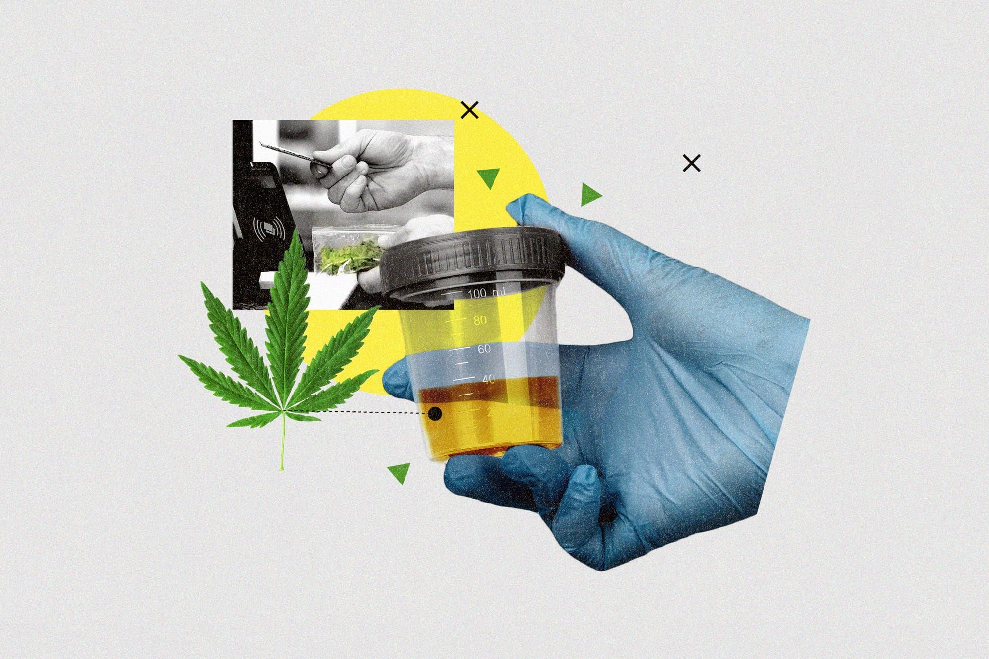 Can Cannabis Cause Stroke in Young Adults? New Study Says Risk Is Much Higher -  Marijuana Users May Face Higher Heart Attack Risk
