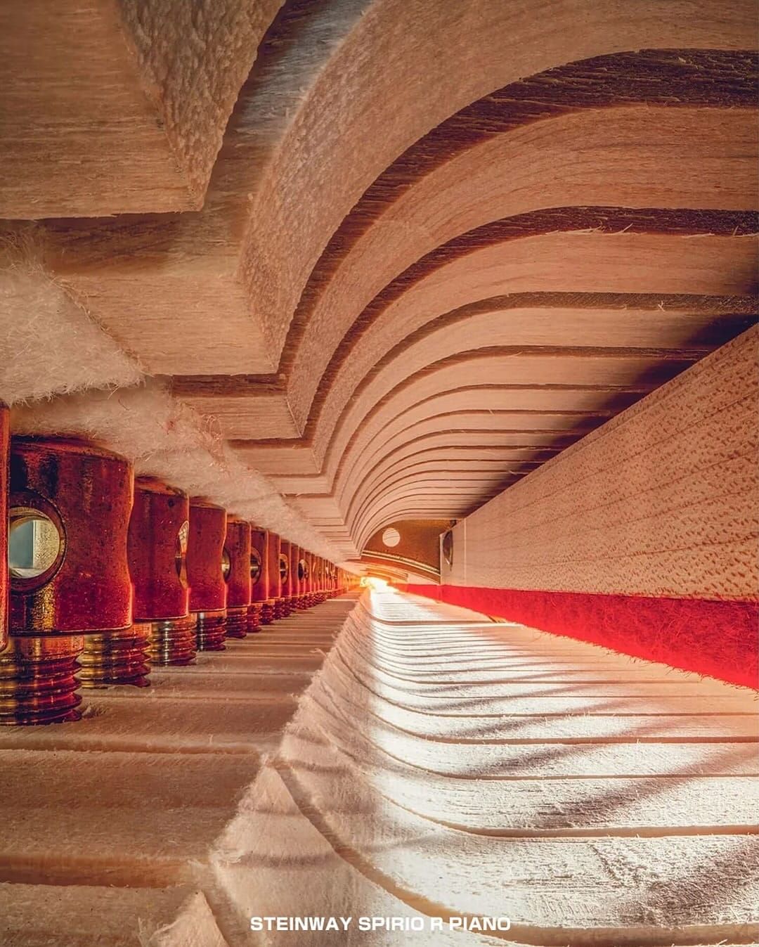 AI Image Stacking Reveals Hidden Worlds: How Algorithms Transform Musical Instrument Photography