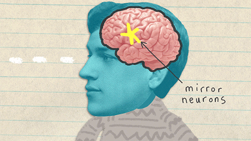 Will Human Brains Get Smaller in the Future?