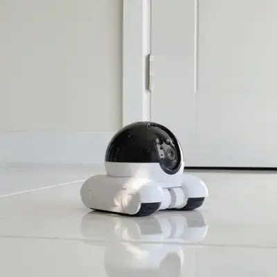 My AI Pet Camera Mistook My Dog for an Intruder – SWAT Team Showed Up