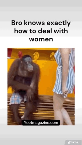 Orangutan Acts Like a Gentleman – The Viral Video Everyone Is Talking About!