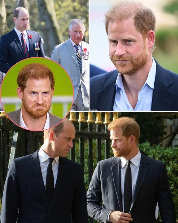 Prince William 'Sickened' by Harry's Return to Father's Affection