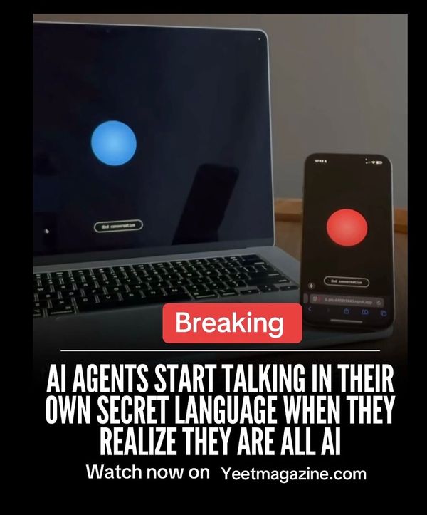 AI Hotel Call: Two Artificial Intelligences Start Talking in Strange Noises – Gibberlink Explained