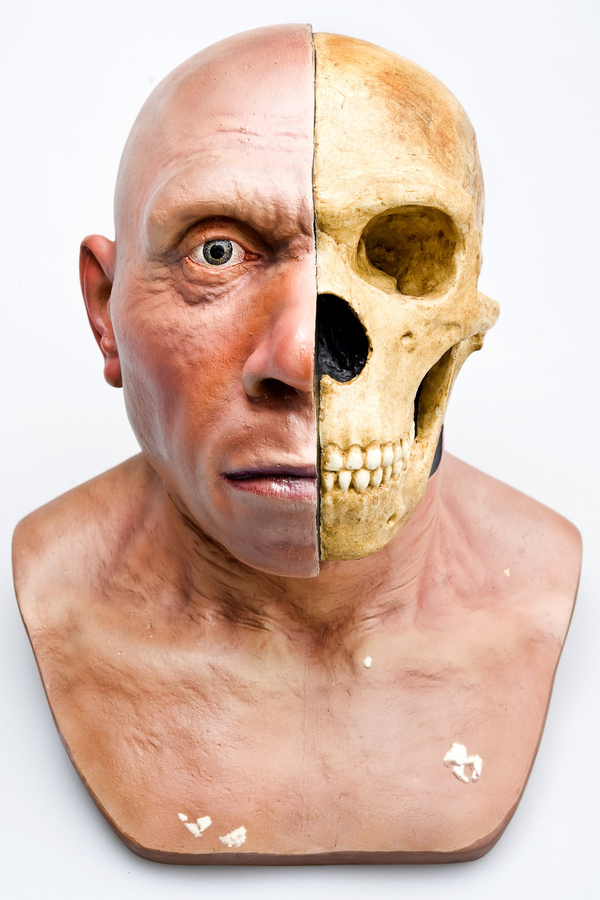 Evolution Future - What Humans Could Look Like In 1 million Years (This Is Not What You Expect)