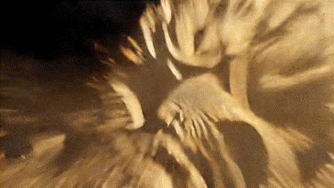 Trump’s $5M Gold Card: What It Is, Who Qualifies, When It Started, Why It’s Controversial & How It Works