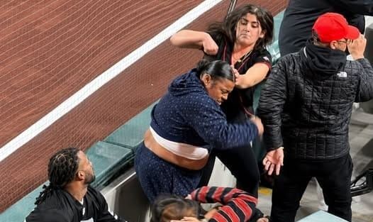 Fans involved in a brawl during Giants vs Rockies baseball game