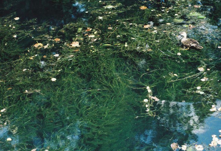 On going viral when you live a small town