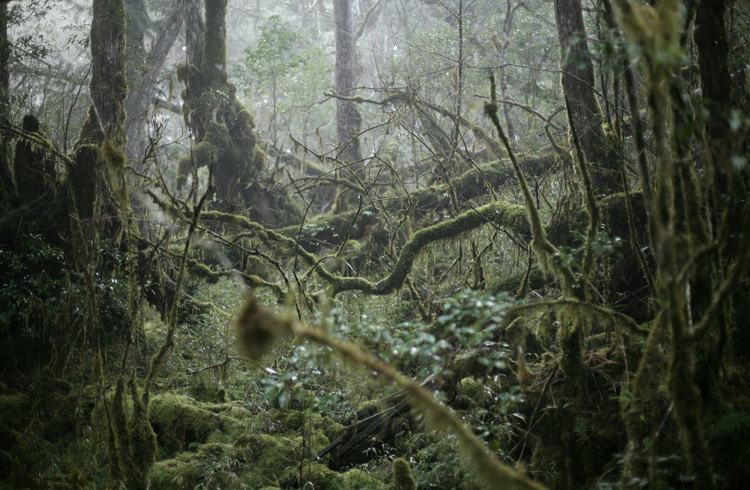 What do you need to be a writer?